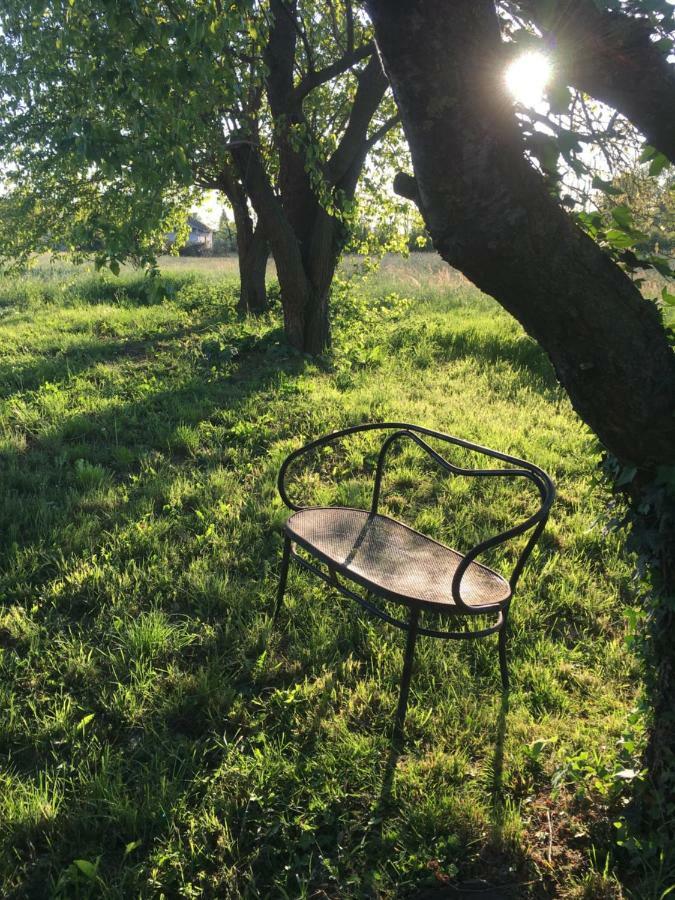 Bed & Breakfast Il Mio Gelso Villanova d'Asti Εξωτερικό φωτογραφία