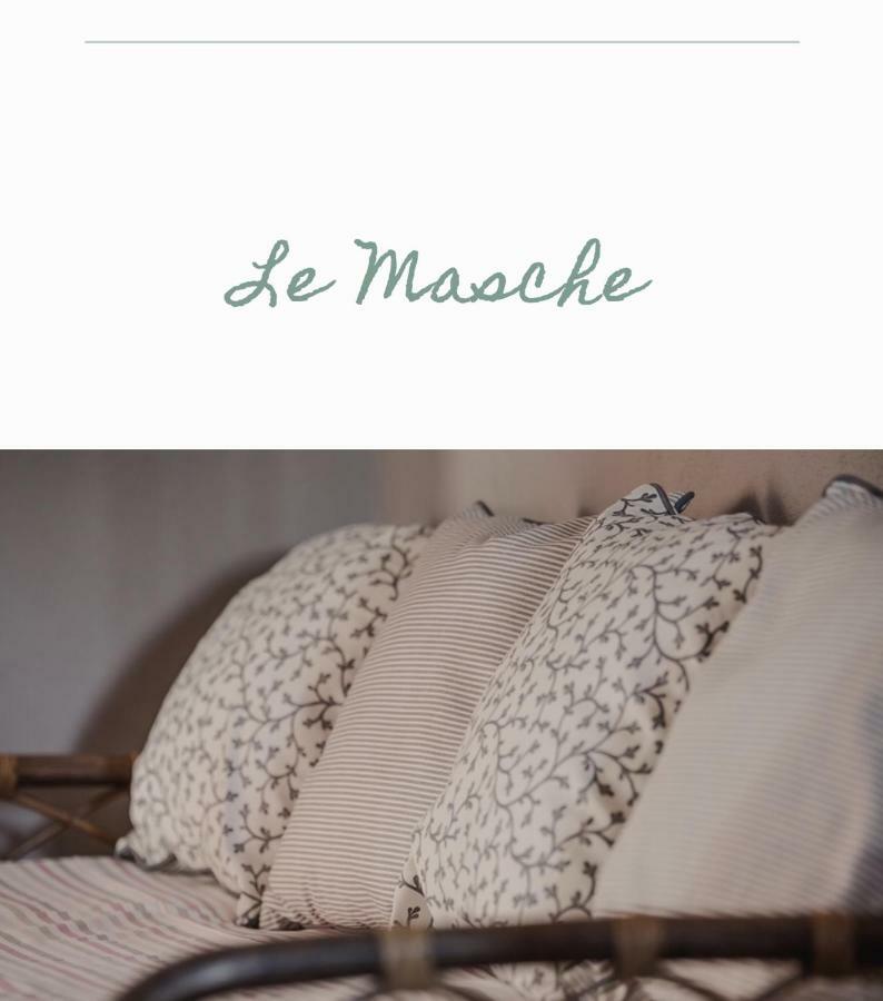 Bed & Breakfast Il Mio Gelso Villanova d'Asti Εξωτερικό φωτογραφία